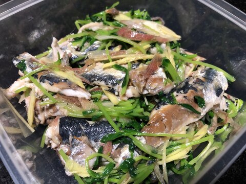 イワシと豆苗の香味和え